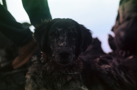 28 Rodrigo Bracamonte - Fujifilm Velvia 50 por Arca Film Lab (Enero 2025) - Rollo 0621