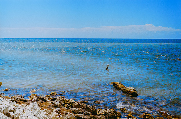 35 Gerardo Recinos - Kodak Ultramax 400 por Arca Film Lab (Abril 2025) - Rollo 0936