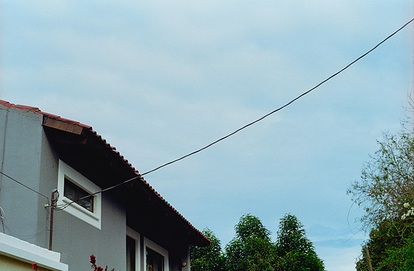 07 Alexander Daum - Kodak Ultramax 400 por Arca Film Lab (Enero 2025) - Rollo 0632