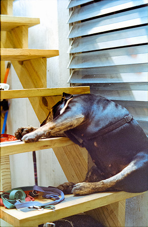 21 Karen Orellana - Kodak Ultramax 400 por Arca Film Lab (Julio 2024) - Rollo 0181