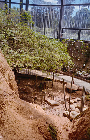 15 Elena Santa María - Kodacolor 200 por Arca Film Lab (Febrero 2025) - Rollo 0708