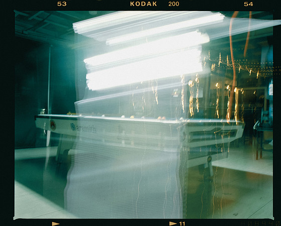06 Alexander Daum - Kodak Gold 200 por Arca Film Lab (Enero 2025) - Rollo 0635