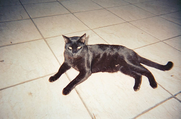 14 Esther Galeas - Cinestill 400D por Arca Film Lab (Enero 2025) - Rollo 0695