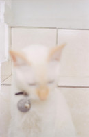 09 Abraham Castillo - Fujifilm 400 por Arca Film Lab (Junio 2025) - Rollo 1118