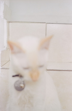 09 Abraham Castillo - Fujifilm 400 por Arca Film Lab (Junio 2025) - Rollo 1118