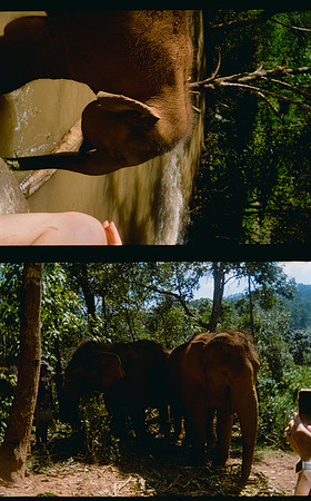 29 Karla Figueroa - Kodak Gold 200 por Arca Film Lab (Mayo 2025) - Rollo 1037