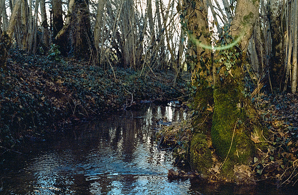 34 Ricardo Rodas - Kodak Portra 400 por Arca Film Lab (Enero 2025) - Rollo 0655