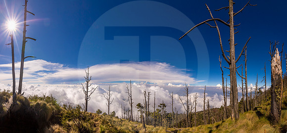 Entre el cielo y la tierra desolada