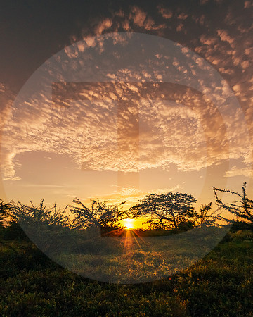 Sunrise14