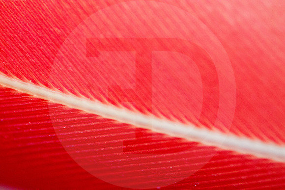 Texturas  02