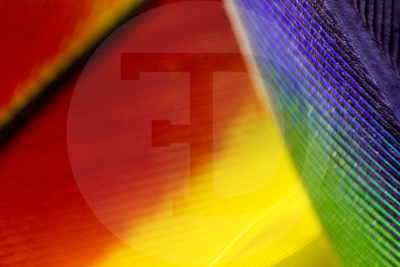 Texturas  03