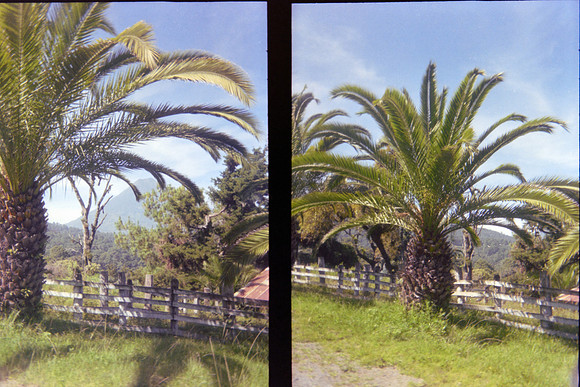 18 María Jimena Sánchez - Kodak Gold 200 por Arca Film Lab (Mayo 2024) - Rollo 0069