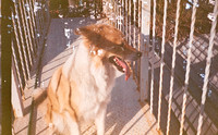 18 Estuardo Pernillo - Photoworks 400 por Arca Film Lab (Diciembre 2024) - Rollo 0544