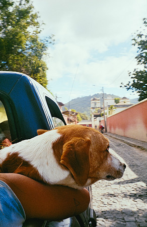 07 Carlota Benet - Kodak Ultamax 400 por Arca Film Lab (Enero 2025) - Rollo 0610