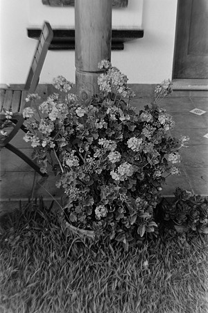 34 Pablo Josué Noack - Ilford HP5 Plus 400 por Arca Film Lab (Mayo 2024) - Rollo 0076