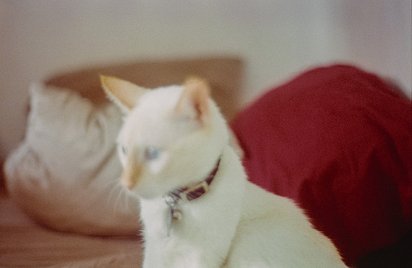12 Abraham Castillo - Fujifilm 400 por Arca Film Lab (Junio 2025) - Rollo 1118