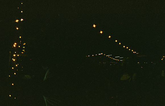 23 Edwin Chang - Cinestill 800T por Arca Film Lab (Diciembre 2024) - Rollo 0516
