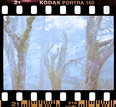 18 Erick Sandoval - Kodak Portra 160 por Arca Film Lab (Septiembre 2024) - Rollo 0352