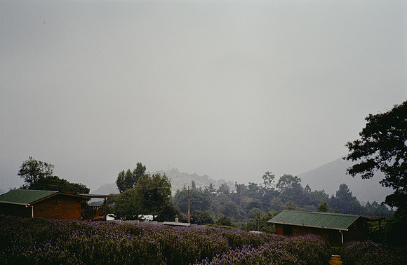 04 David Santiago - Kodak Gold 200 por Arca Film Lab (Enero 2025) - Rollo 0702