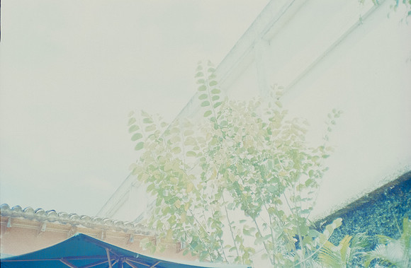06 Mia Yun - Lomography 400 por Arca Film Lab (Enero 2025) - Rollo 0623