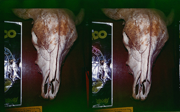 21 Pablo Mijango - Dubblefilm Treat 400 por Arca Film Lab (Abril 2025) - Rollo 0914