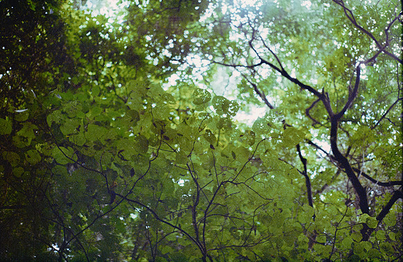 04 Andrea Campos - Kodak Ultramax 400 por Arca Film Lab (Diciembre 2024) - Rollo 0531