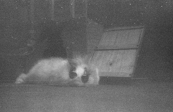 10 René Quijano - Fomapn 400 por Arca Film Lab (Septiembre 2024) - Rollo 0351