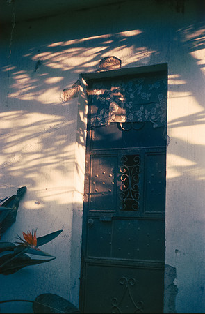 10 Ronald Ottoniel - Kodak Aerocolor IV E6 por Arca Film Lab (Septiembre 2024) - Rollo 0388