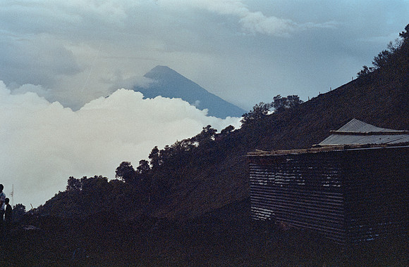 08 Ricardo Rodas - Kodak Portra 400 por Arca Film Lab (Enero 2025) - Rollo 0655