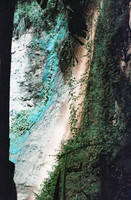 06 Jasmin Bouchard - Lomography Turquoise por Arca Film Lab (Octubre 2024) - Rollo 0403