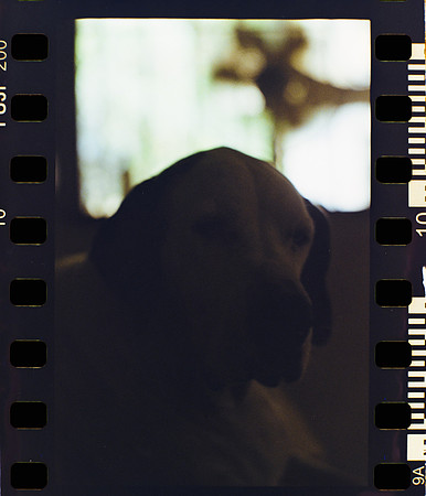 10 Ronald Ottoniel - Fujifilm 200 por Arca Film Lab (Mayo 2024) - Rollo 0089