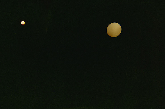 20 Esther Galeas - Cinestill 400D por Arca Film Lab (Enero 2025) - Rollo 0695