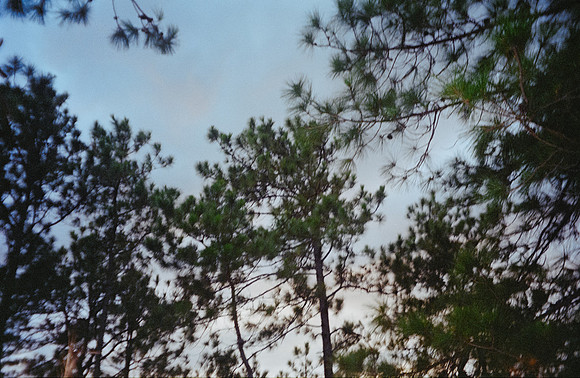 08 Javier Díaz - Kodak Gold 200 por Arca Film Lab (Febrero 2025) - Rollo 0722