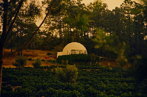 21 Omar Véliz - Kodak Vision 3 500T por Arca Film Lab (Febrero 2025) - Rollo 0682