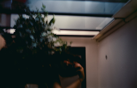 28 Jazmine Sousa - Cinestill 400D por Arca Film Lab (Febrero 2025) - Rollo 0866