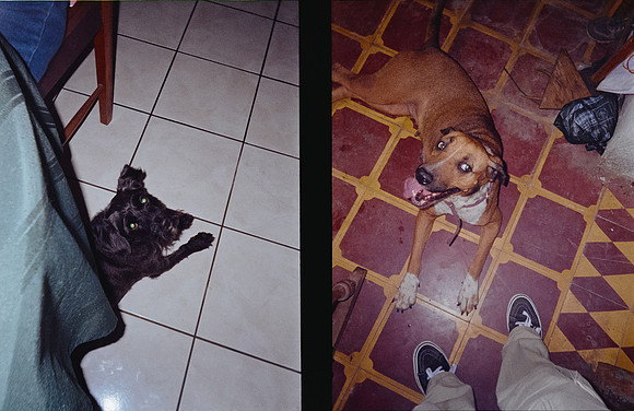 35 Sofía Castro - Kodak Gold 200 por Arca Film Lab (Febrero 2025) - Rollo 0725