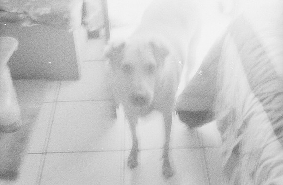 04 Hael López - Lomography Lady Grey por Arca Film Lab (Mayo 2025) - Rollo 1066