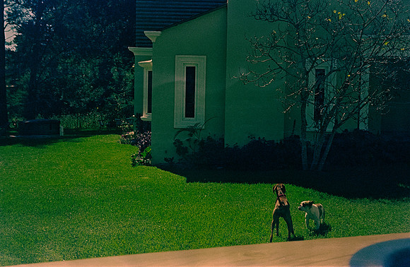 34 Rafael Peyré - Reflx Lab 500T por Arca Film Lab (Marzo 2025) - Rollo 0836