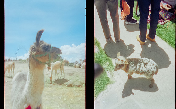 06 Isa Valladares - Cinestill 400D por Arca Film Lab (Enero 2025) - Rollo 0612