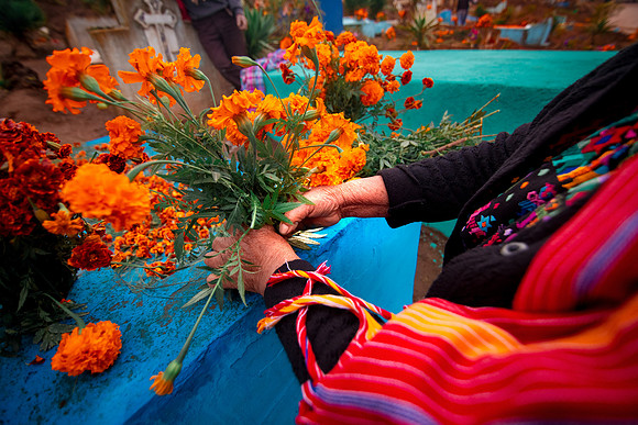 003 Día de los muertos - Noviembre 2019 por Fabriccio Díaz