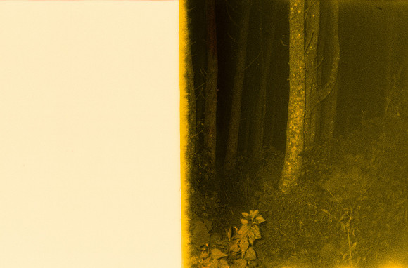 08 Andrés Urrutia - Cinestill 800T por Arca Film Lab (Enero 2025) - Rollo 0605