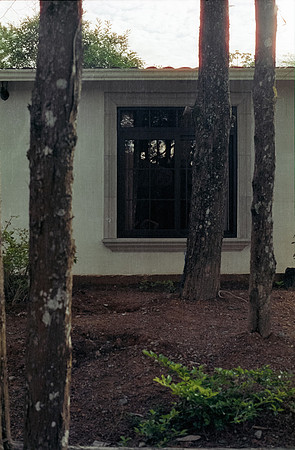09 Amdrés Cux - Cinestill 400D por Arca Film Lab (Julio 2024) - Rollo 0179