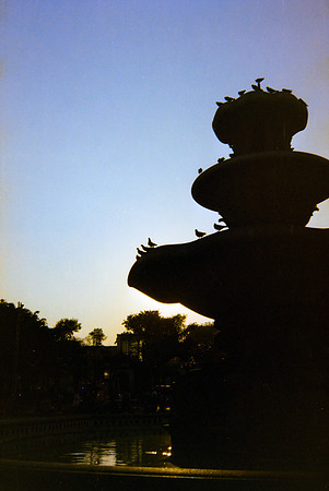 25 Constanza Close - Kodak Gold 200 por Arca Film Lab (Mayo 2024) - Rollo 0063