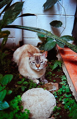 01 Eduardo Chávez - Kodak Portra 400 por Arca Film Lab (Julio 2024) - Rollo 0201