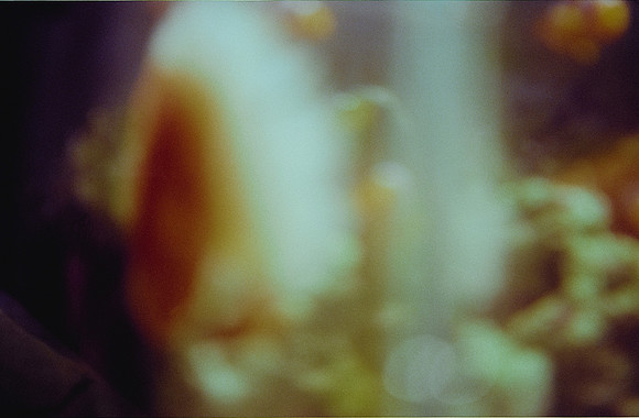 11 Javier Díaz - Kodak Ultramax 400 por Arca Film Lab (Febrero 2025) - Rollo 0723