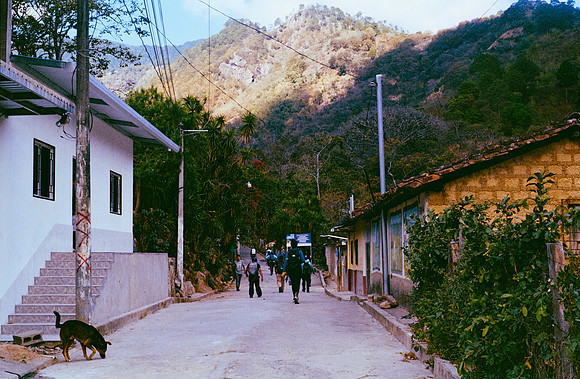 06 Emerson Quintanilla - Kodak Ultramax 400 por Arca Film Lab (Abril 2025) - Rollo 0906
