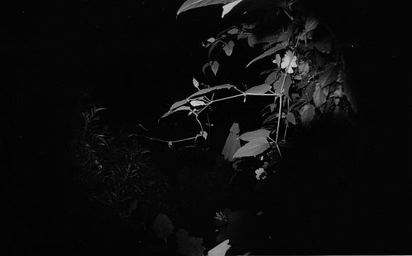 02 Natalia Mendoza - Kentmere Pan 400 por Arca Film Lab (Junio 2025) - Rollo 1126