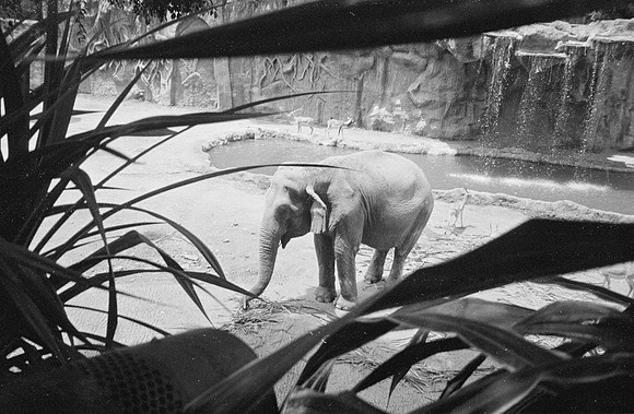 18 Carmen Tórres - Ilford HP5+ 400 por Arca Film Lab (Septiembre 2024) - Rollo 0334
