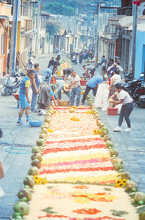20 Ronald Ottoniel - Kodak Vision 3 500T por Arca Film Lab (Febrero 2025) - Rollo 0868