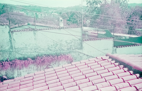 20 Natalia Mendoza - Lomography Purple por Arca Film Lab (Mayo 2025) - Rollo 1019